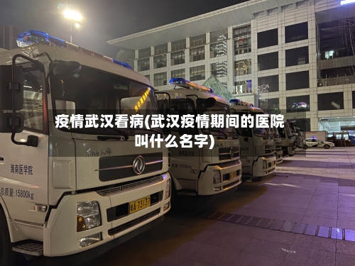 疫情武汉看病(武汉疫情期间的医院叫什么名字)
