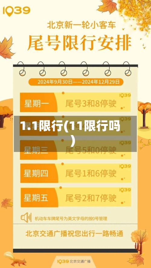1.1限行(11限行吗)-第3张图片