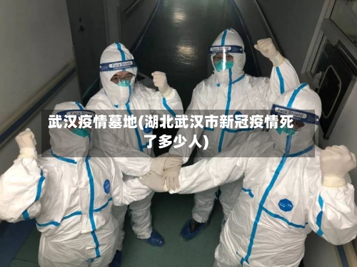 武汉疫情墓地(湖北武汉市新冠疫情死了多少人)