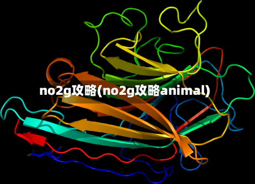 no2g攻略(no2g攻略animal)
