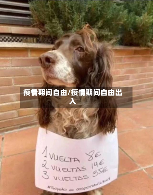 疫情期间自由/疫情期间自由出入-第2张图片
