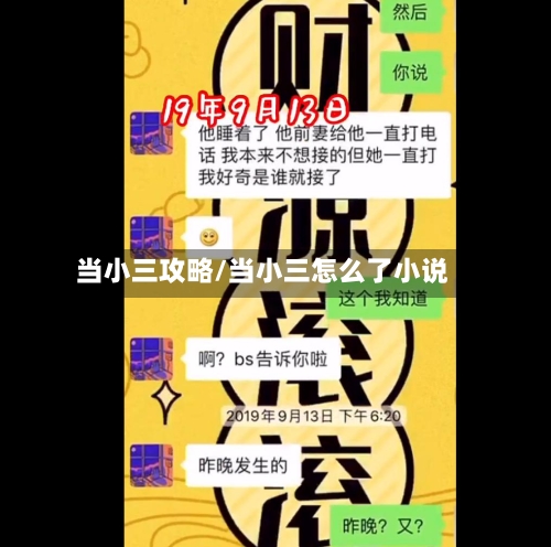 当小三攻略/当小三怎么了小说-第2张图片