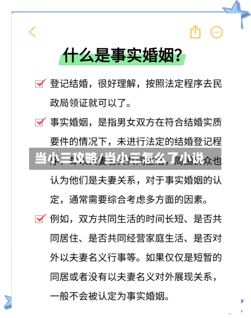当小三攻略/当小三怎么了小说