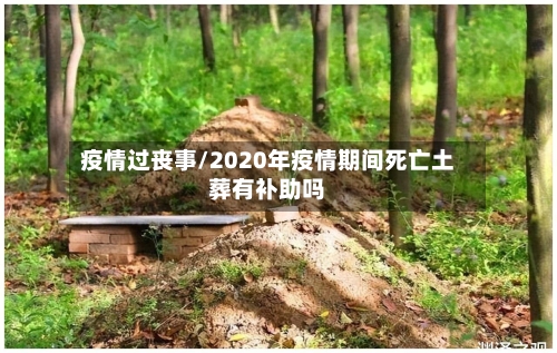 疫情过丧事/2020年疫情期间死亡土葬有补助吗-第2张图片