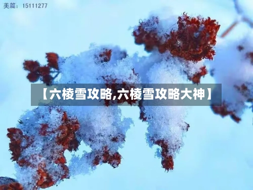 【六棱雪攻略,六棱雪攻略大神】