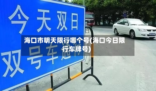 海口市明天限行哪个号(海口今日限行车牌号)-第3张图片