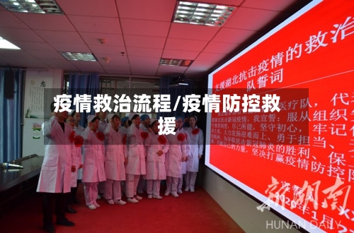 疫情救治流程/疫情防控救援