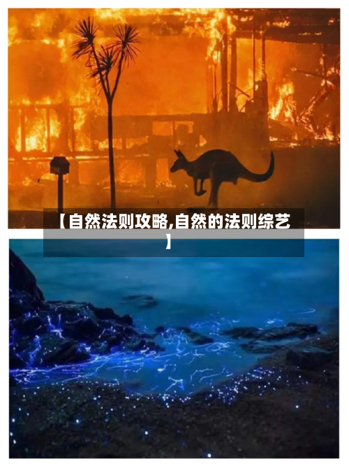 【自然法则攻略,自然的法则综艺】