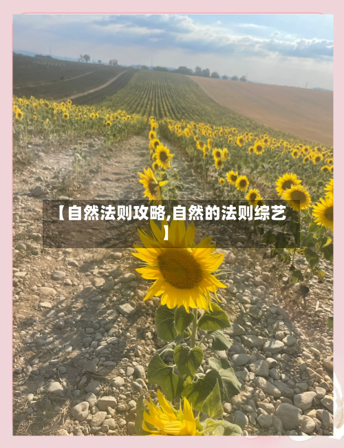 【自然法则攻略,自然的法则综艺】-第3张图片