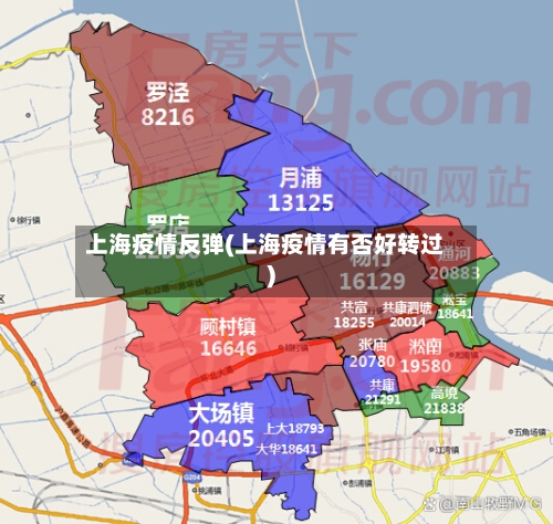 上海疫情反弹(上海疫情有否好转过)-第3张图片