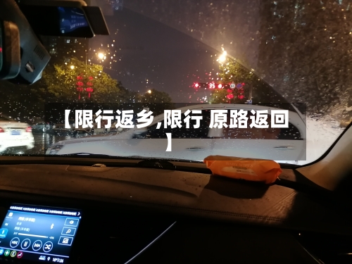 【限行返乡,限行 原路返回】-第2张图片
