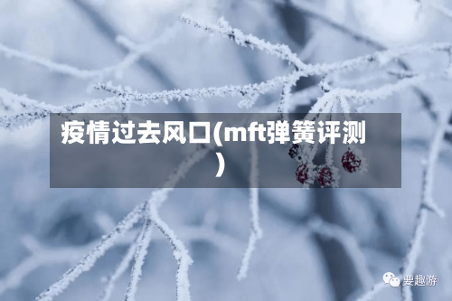 疫情过去风口(mft弹簧评测)