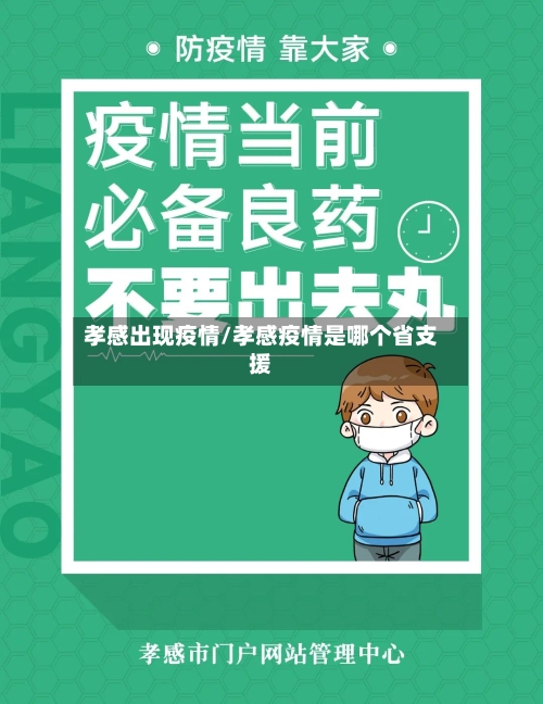 孝感出现疫情/孝感疫情是哪个省支援-第3张图片