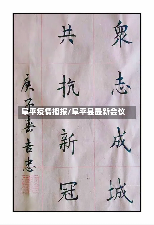 阜平疫情播报/阜平县最新会议-第2张图片