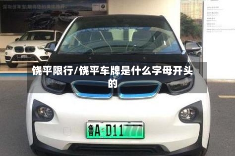 饶平限行/饶平车牌是什么字母开头的-第2张图片