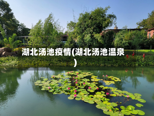 湖北汤池疫情(湖北汤池温泉)-第2张图片