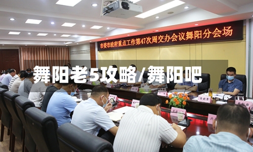 舞阳老5攻略/舞阳吧-第3张图片