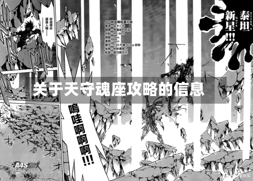 关于天守魂座攻略的信息