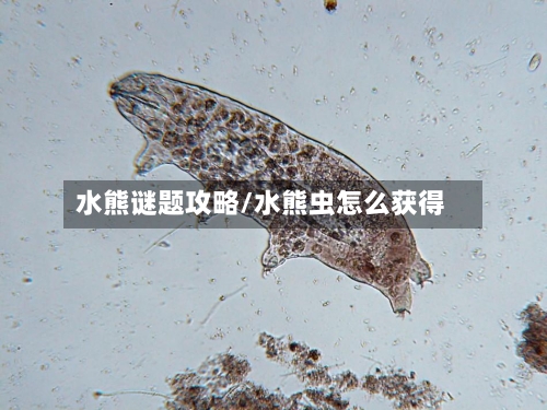 水熊谜题攻略/水熊虫怎么获得-第2张图片
