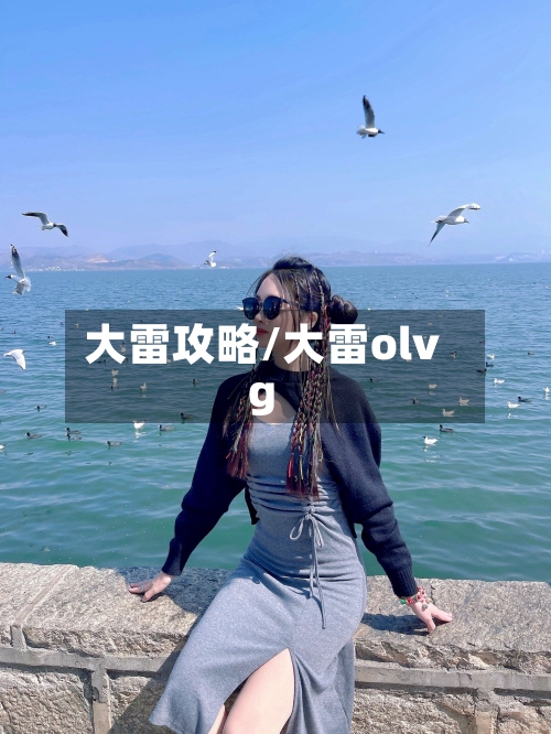 大雷攻略/大雷olvg-第2张图片