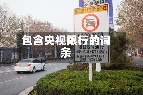 包含央视限行的词条-第3张图片