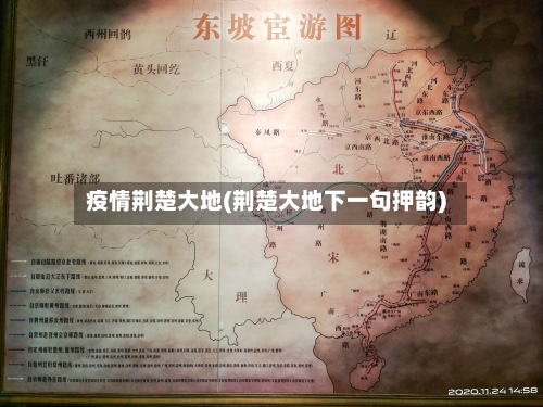 疫情荆楚大地(荆楚大地下一句押韵)