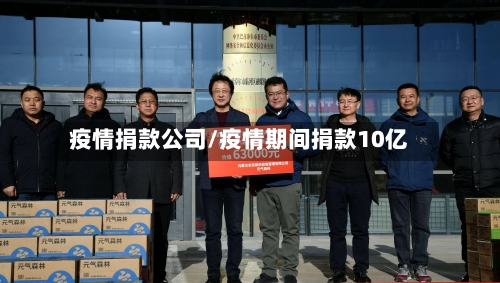 疫情捐款公司/疫情期间捐款10亿-第2张图片