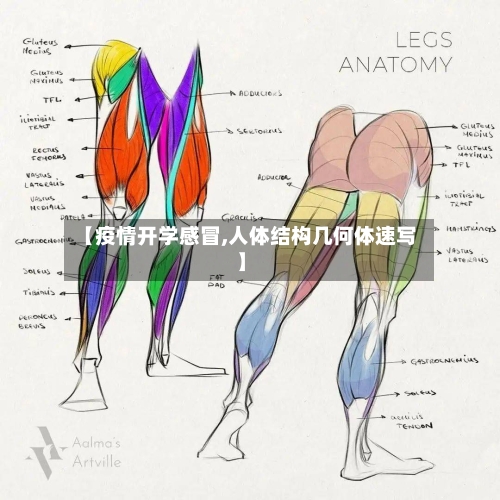 【疫情开学感冒,人体结构几何体速写】