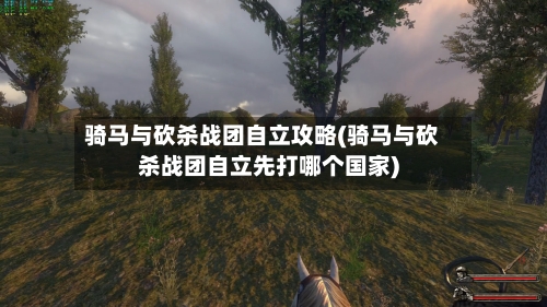 骑马与砍杀战团自立攻略(骑马与砍杀战团自立先打哪个国家)-第2张图片