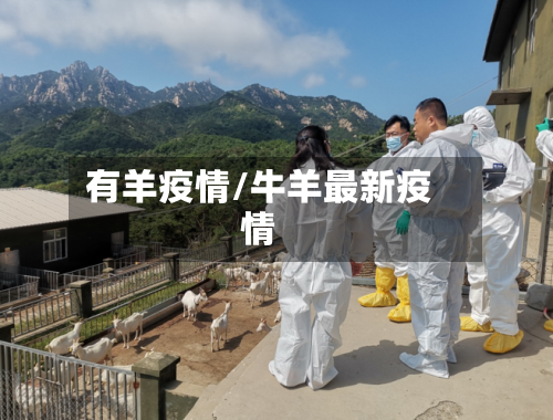 有羊疫情/牛羊最新疫情