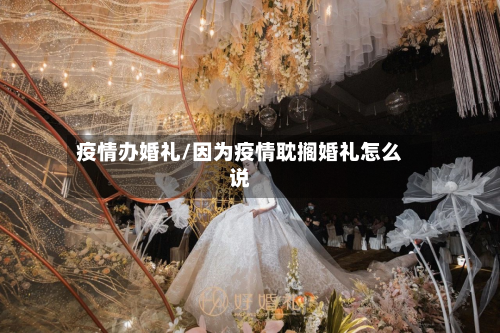 疫情办婚礼/因为疫情耽搁婚礼怎么说-第2张图片
