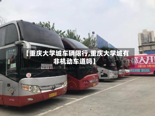 【重庆大学城车辆限行,重庆大学城有非机动车道吗】-第2张图片