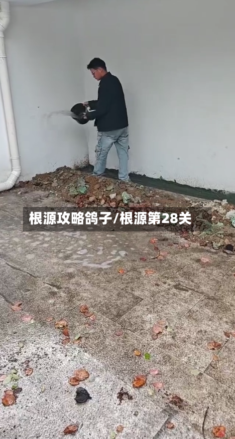根源攻略鸽子/根源第28关