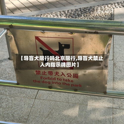 【导盲犬限行吗北京限行,导盲犬禁止入内指示牌图片】-第2张图片