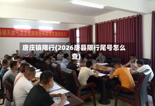 唐庄镇限行(2026唐县限行尾号怎么查)-第2张图片