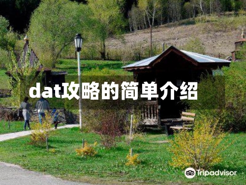 dat攻略的简单介绍-第3张图片