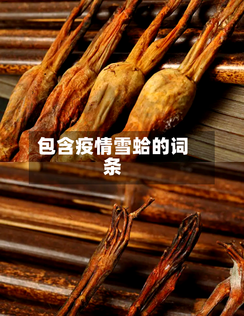 包含疫情雪蛤的词条