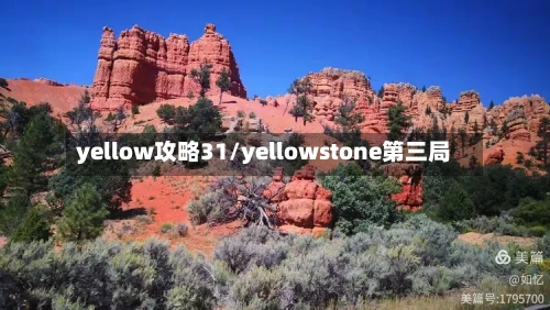 yellow攻略31/yellowstone第三局-第3张图片
