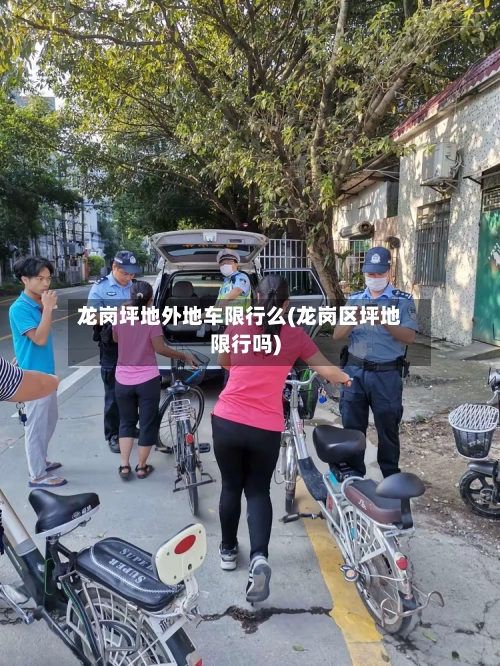 龙岗坪地外地车限行么(龙岗区坪地限行吗)-第3张图片